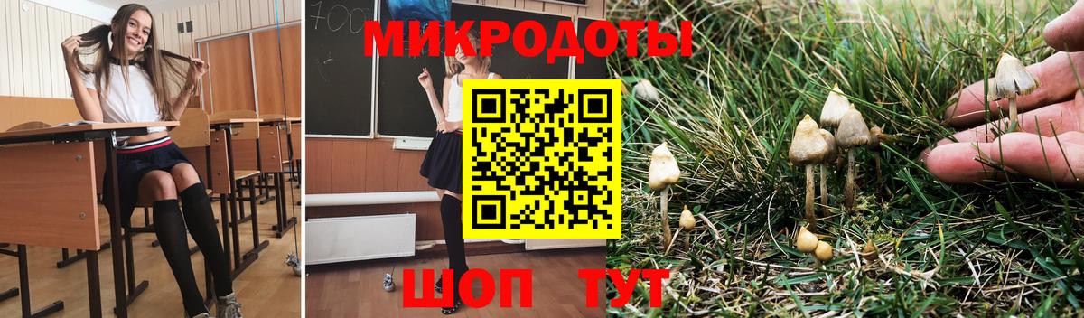 Псилоцибиновые грибы MAGIC MUSHROOMS Благодарный